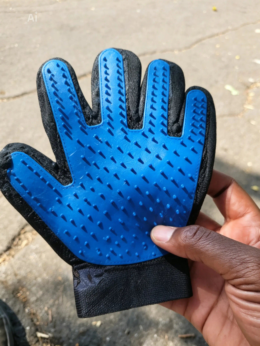 pet grooming glove